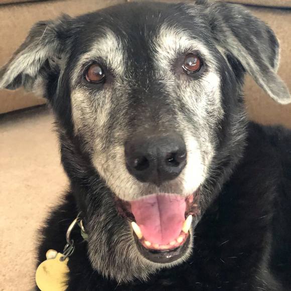 Meet your Posher, Stacie - Picture 1 of 1